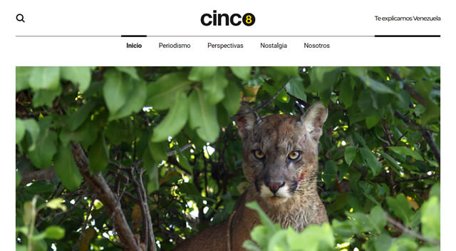 Cinco8 | Análisis y crónica para entender Venezuela